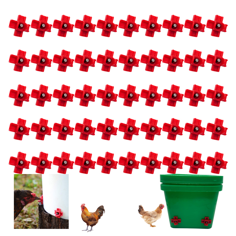 Chicken Nipple Drinker - Waterer frango automático, Quail Birds Drinking