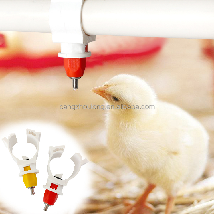 Chicken Nipple Drinker - Bebedouro Automático YYW LM44 de Plástico