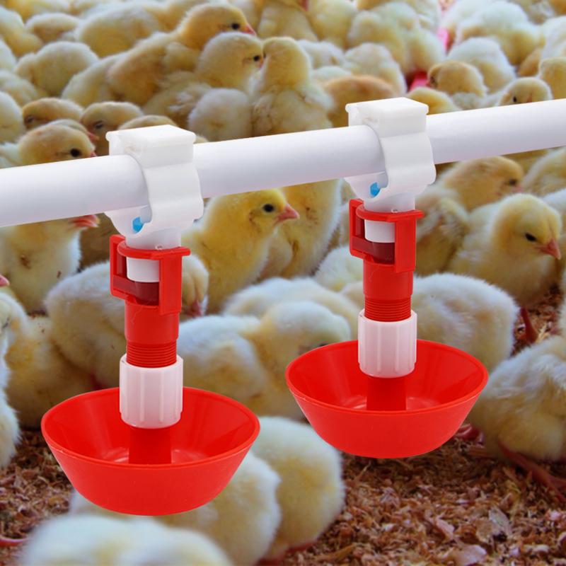 Chicken Nipple Drinker - 5/10/20 pçs automático frango água mamilo