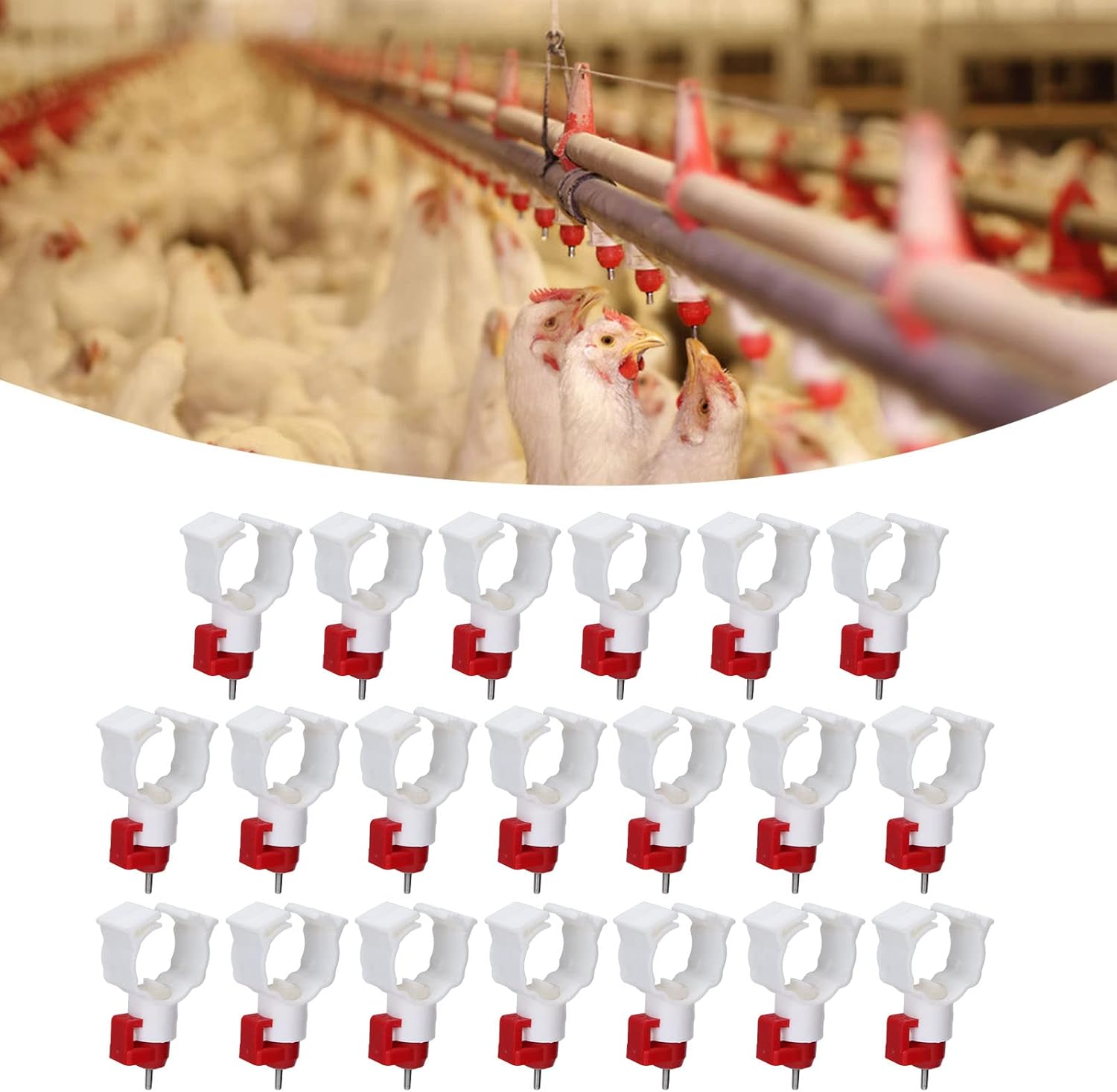 Chicken Nipple Drinker - Bebedor automático de bico de água