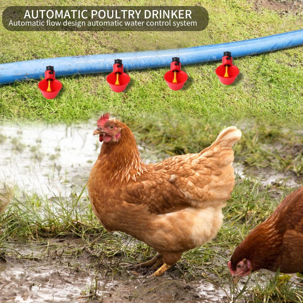 Tigela de alimentação automáti - Chicken Nipple Drinker avaliação e preço