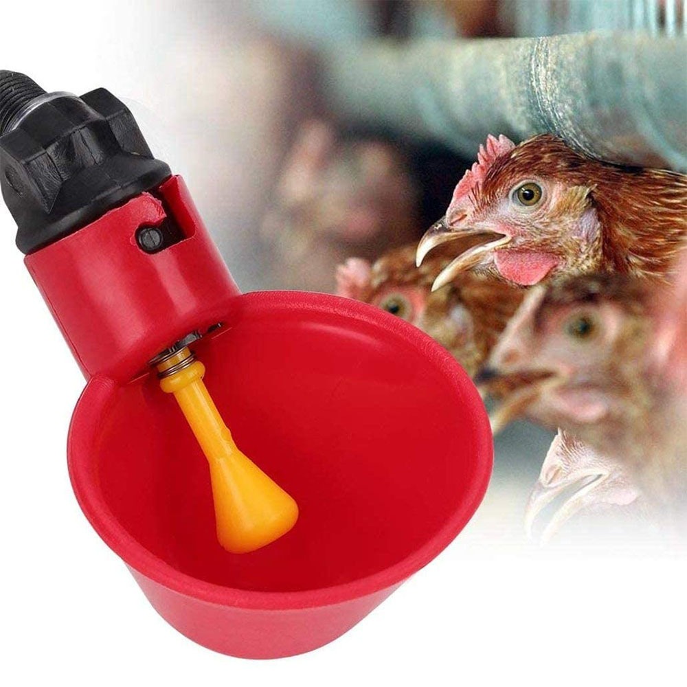 Tigela de alimentação automáti - Chicken Nipple Drinker avaliação e preço