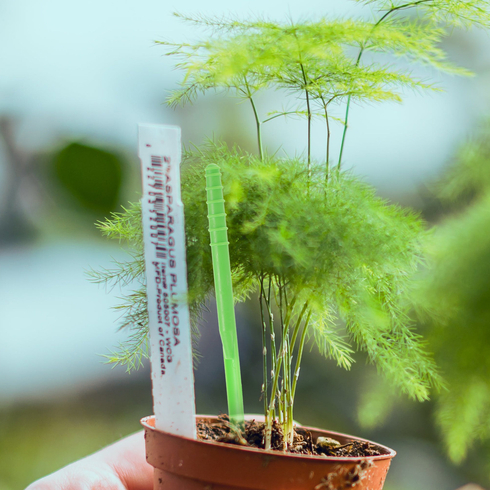 2 unidades de dispensador de s - Seed Planter avaliação e preço