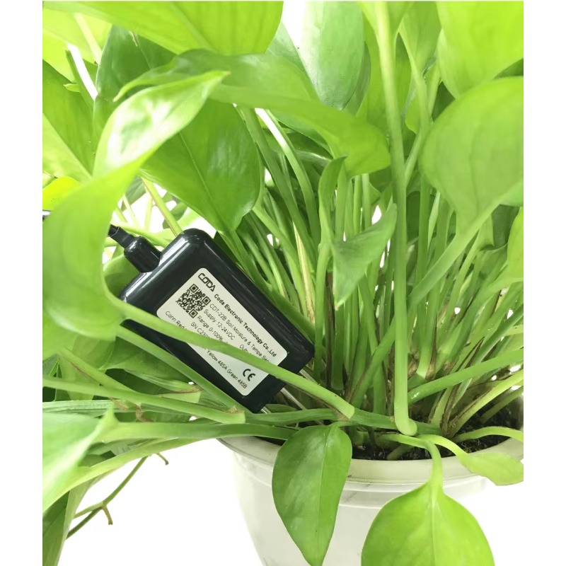 CDT-30B Rs485 0-2v Saída Plant - Soil Moisture Sensor avaliação e preço