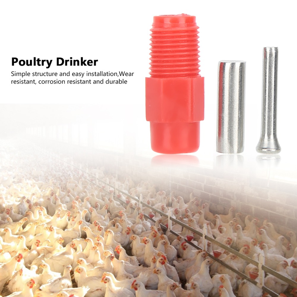 40 peças Bebedouro Automático  - Chicken Nipple Drinker avaliação e preço