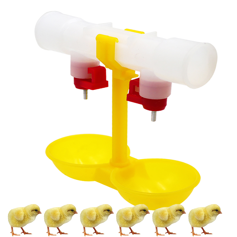 Bebedouro Automático de Niple  - Chicken Nipple Drinker avaliação e preço